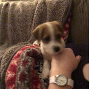 Meet your Posher, Terri